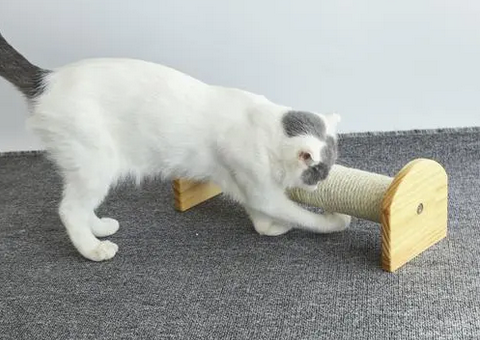 猫抓板的作用