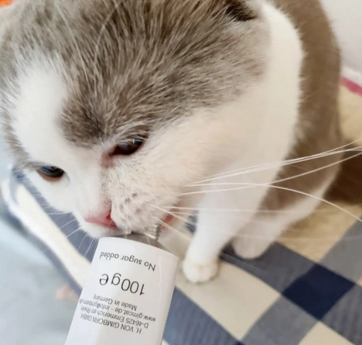 化毛膏好还是猫草好 化毛膏好还是猫草好
