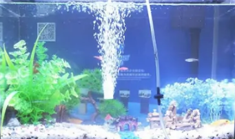 小型鱼缸增氧泵价格