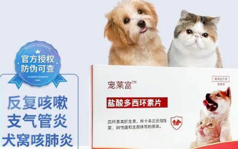 狗狗发热吃人药可以吗