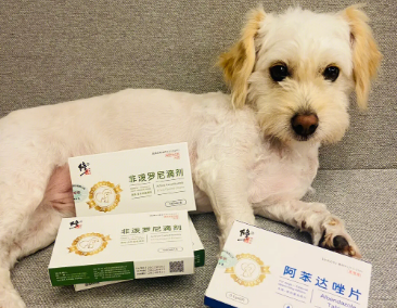 小狗可以用体外驱虫药吗