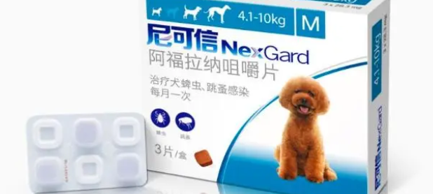 狗狗体外驱虫是什么虫
