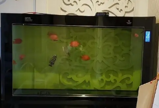 鱼缸水质浑浊怎么处理方法