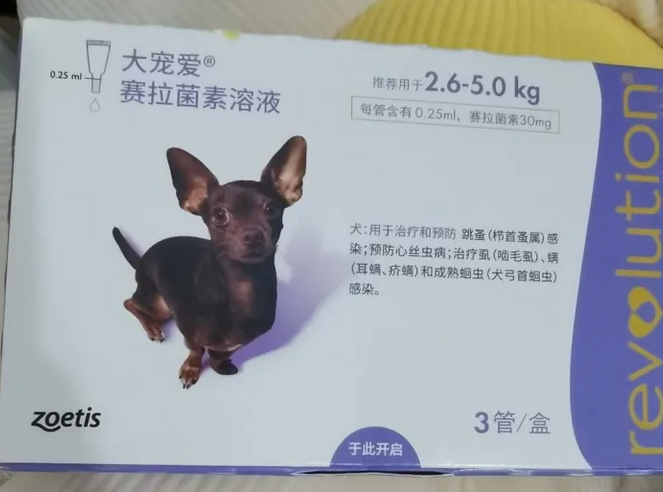 泰迪狗体外驱虫药排行榜