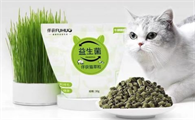 猫草片怎么喂