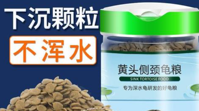 黄头侧颈龟吃什么牌子龟粮好