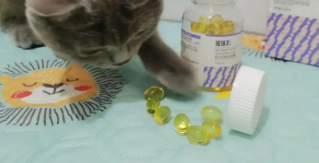 宠物鱼油吃多了会怎么样