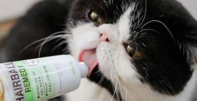 什么牌子的猫咪营养膏