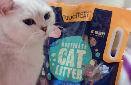 Touchdog它它猫砂除臭效果怎么样