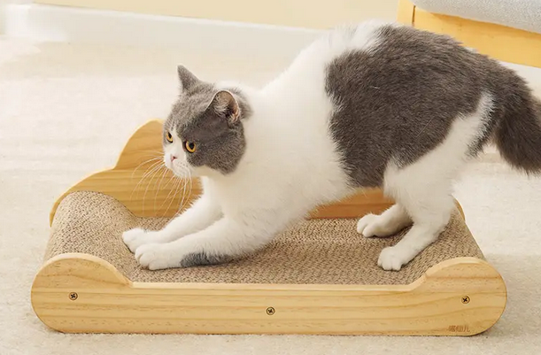 猫为啥喜欢猫抓板 猫为啥喜欢猫抓板