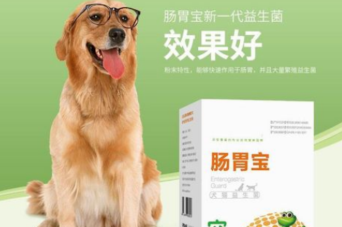 给小狗吃什么益生菌