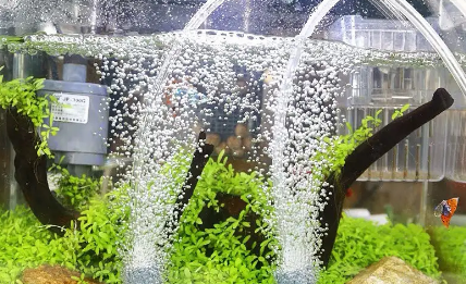怎样正确使用鱼缸增氧泵 怎样正确使用鱼缸增氧泵