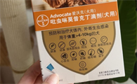 狗狗体外驱虫主要驱什么虫