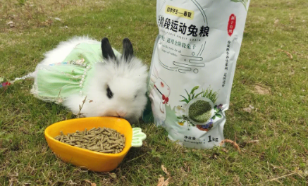 兔粮由什么组成