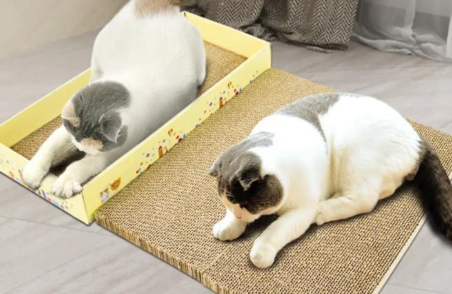 猫抓板有用没