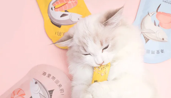 猫一天吃多少猫条