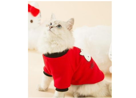 元旦佳节将至，神经猫携hello kitty联名款给萌宠拜年啦！