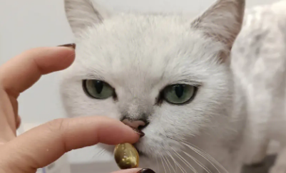 宠物鱼油排行榜 宠物鱼油排行榜