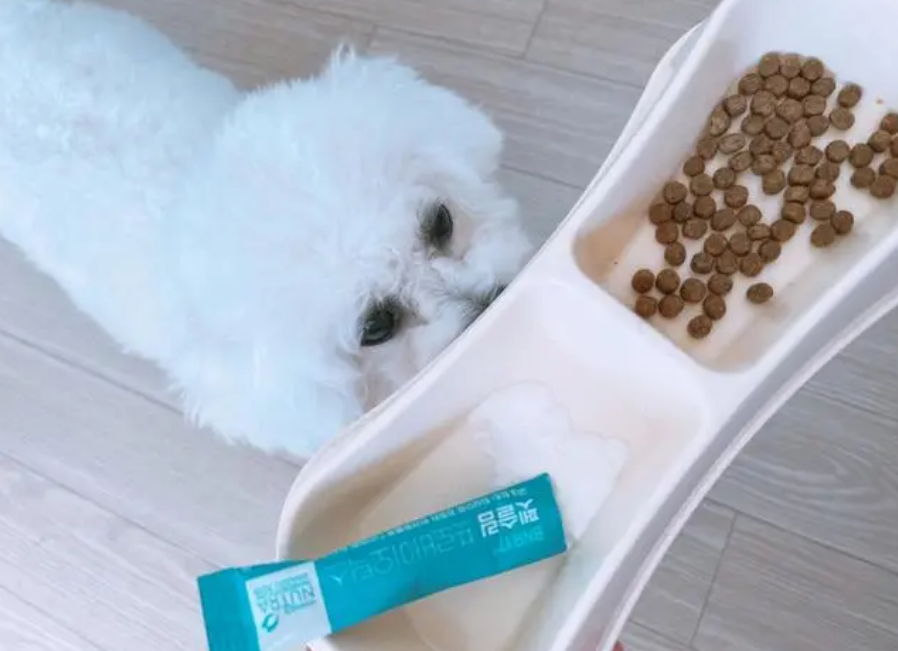 狗狗益生菌可以天天喂吗