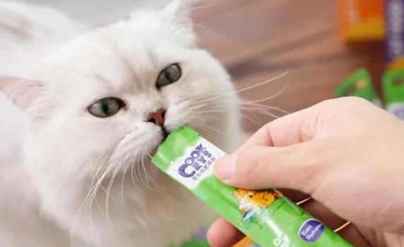 猫条一天最多吃多少