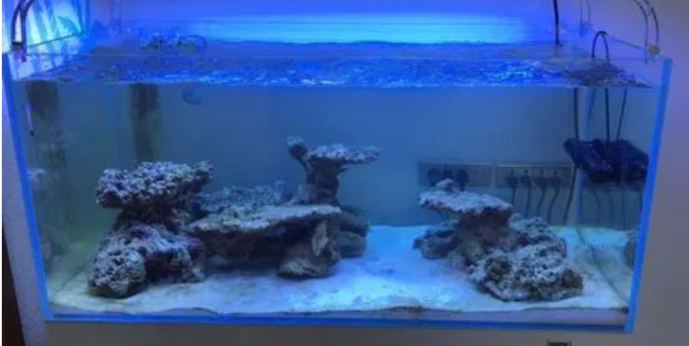 海水鱼缸的水怎么弄 海水鱼缸的水怎么弄