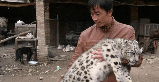 新疆牧民捡回俩“猫崽”后，家中怪事不断