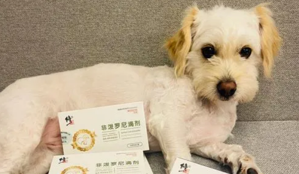宠物狗驱虫药排名