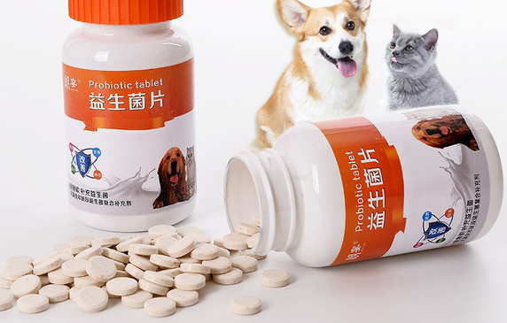 宠物益生菌多久吃一次