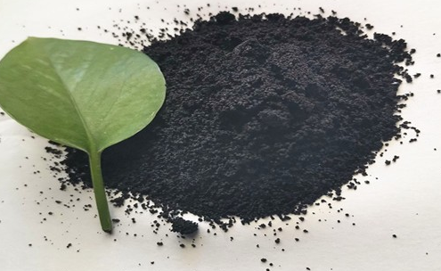 硝化和反硝化的有益菌有哪些
