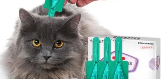 狗的体外驱虫药猫咪可以用吗