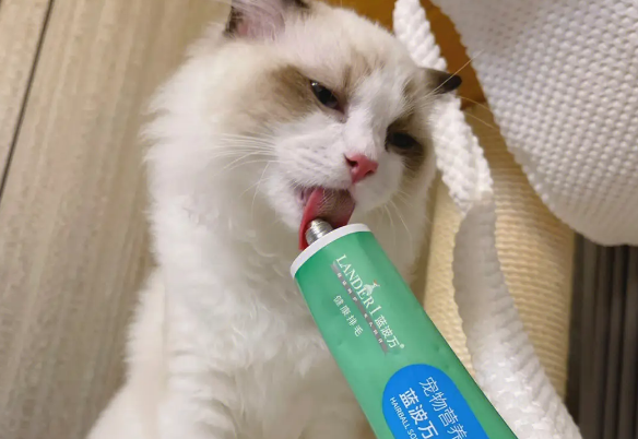 宠物营养化毛膏十大排名