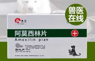 狗子感冒打喷嚏吃什么药