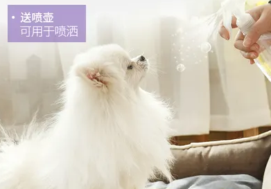 宠物消毒液用什么好