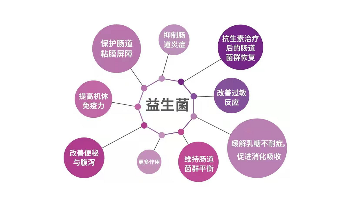 怎么选择适合自己的益生菌 怎么选择适合自己的益生菌