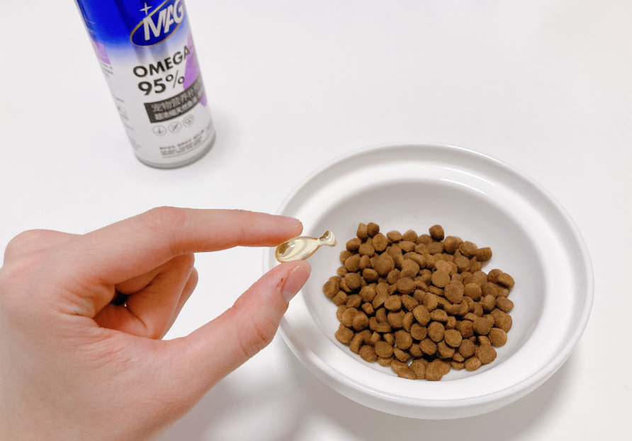 宠物猫吃鱼油好吗