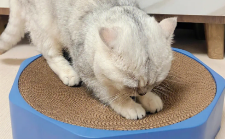 猫抓板什么作用