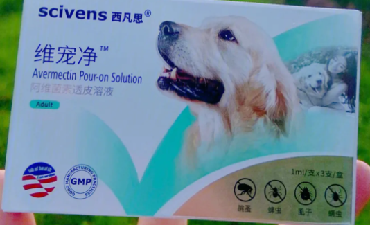 宠物怎样驱虫最有效