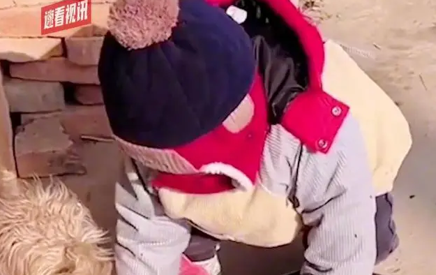 萌娃给狗子磕头拜年,还把刚收的大红包双手奉上,妈妈看到都哭了 萌娃给狗子磕头拜年,还把刚收的大红包双手奉上,妈妈看到都哭了
