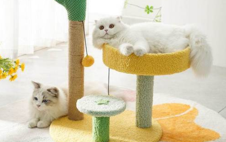 什么品牌猫爬架比较好 什么品牌猫爬架比较好