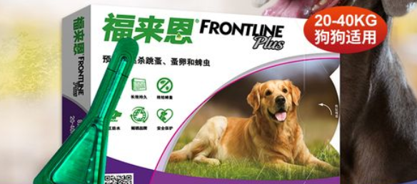怎么给宠物体外驱虫