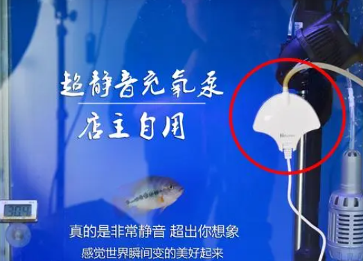 鱼缸增氧泵怎么选择