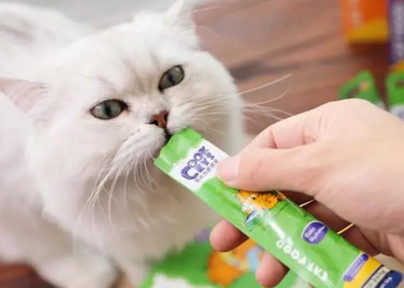 猫一次吃多少猫条