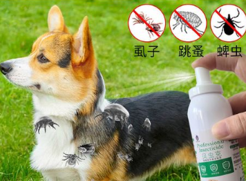 宠物狗体外驱虫用什么药