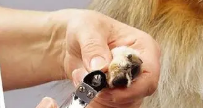 指甲剪套装推荐