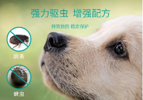 给宠物狗驱虫用什么药 给宠物狗驱虫用什么药