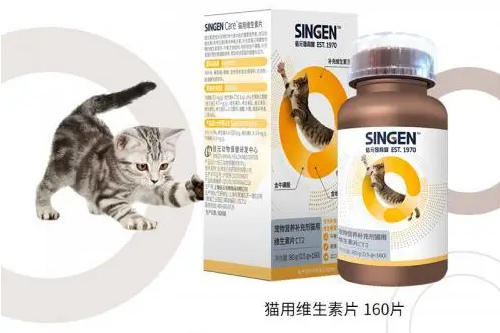 “国际猫咪节”猫咪产品走红 信元发育宝营养品受青睐