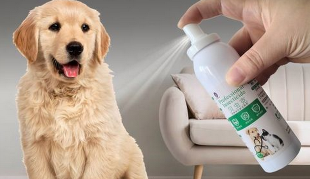 狗狗体外驱虫喷雾有用吗