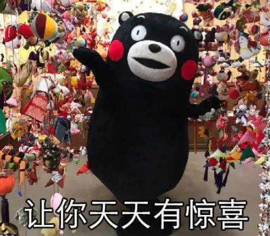 橘猫眼睛大被弃,2年没人要,如今火遍全网