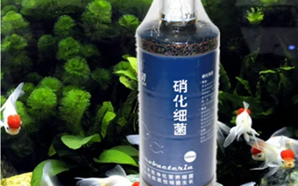 哪种硝化细菌好用