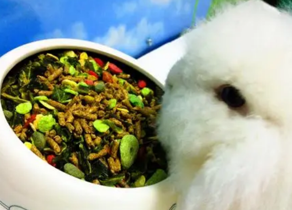幼兔要吃兔粮吗 幼兔要吃兔粮吗